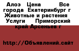 Алоэ › Цена ­ 150 - Все города, Екатеринбург г. Животные и растения » Услуги   . Приморский край,Арсеньев г.